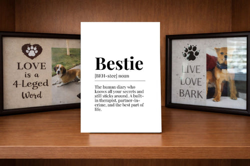 Bestie definition sign lifestyle